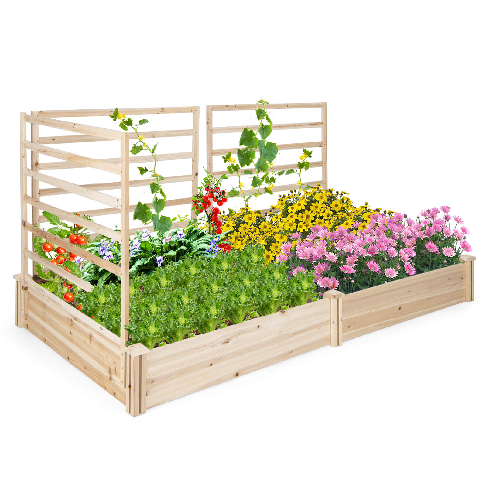 Raised_Garden_Bed_with_3_Trellis_and_2_Planter_Boxes-4.jpg